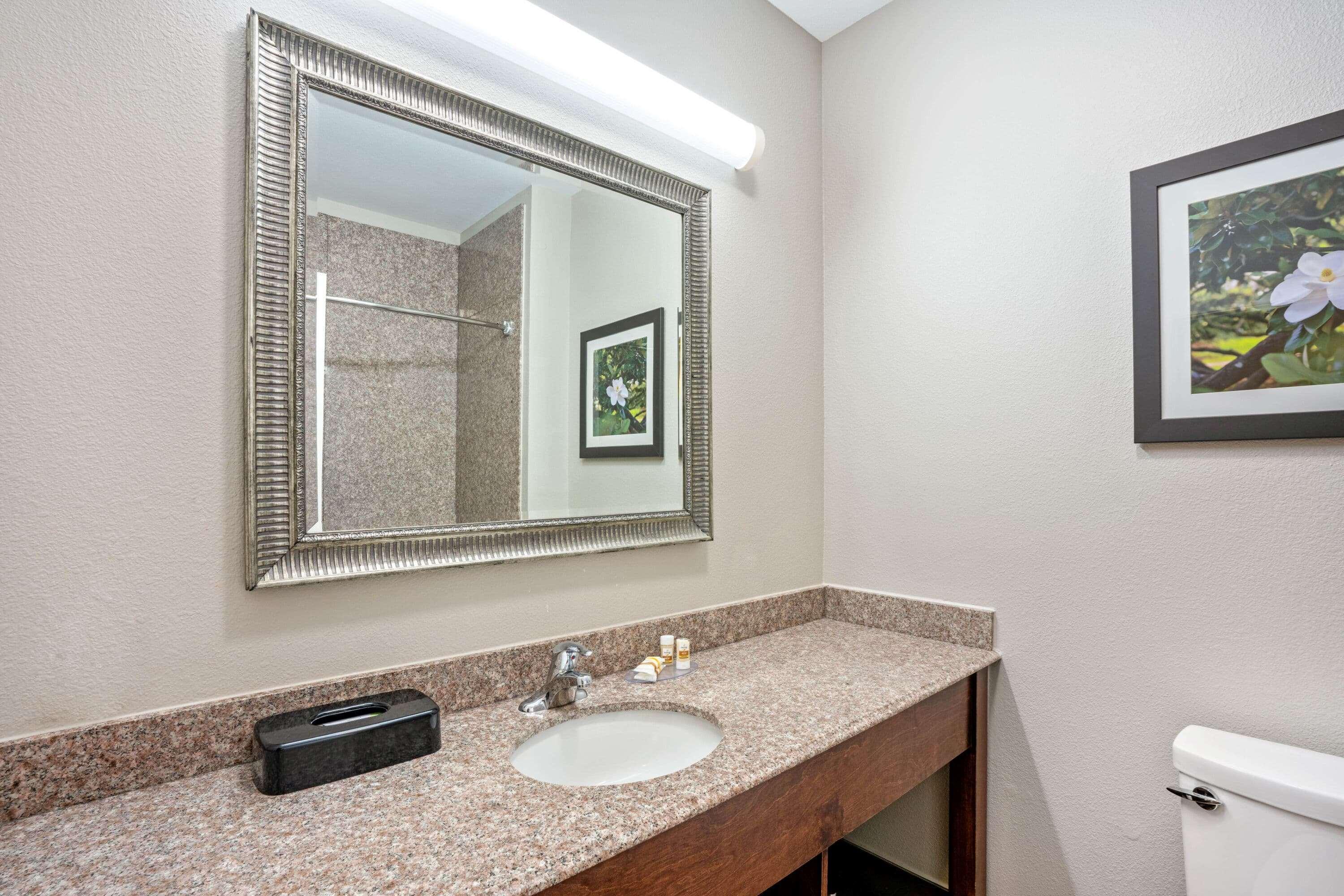 La Quinta By Wyndham Houston - Magnolia Otel Dış mekan fotoğraf